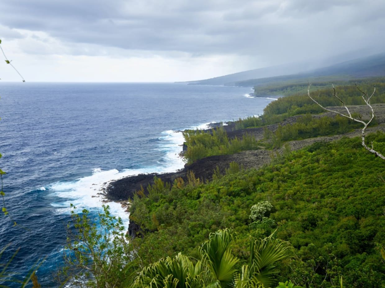 Notre bureau à La Réunion